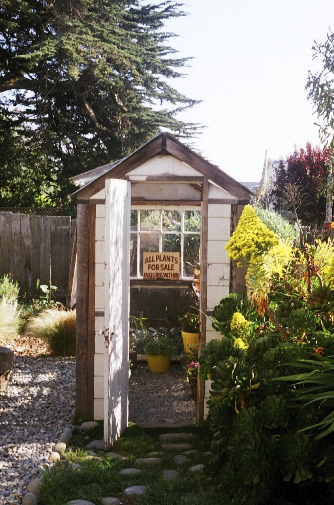 General Store / SF Maria Snell